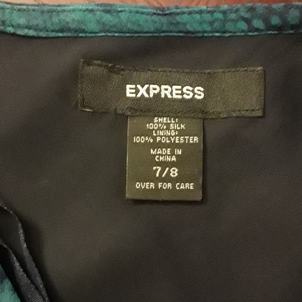 Express Dress - Picture 4 of 6